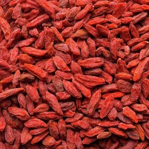 Baies de Goji calibre 280 pcs/50gr