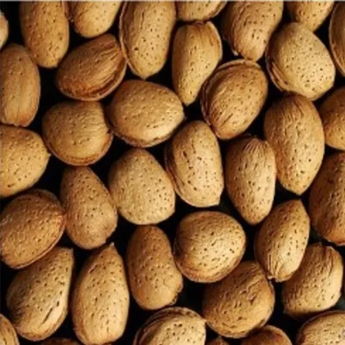 Amandes coques France Récolte 2025