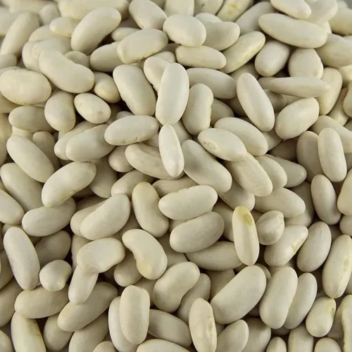 Mogettes de Vendée BIO France