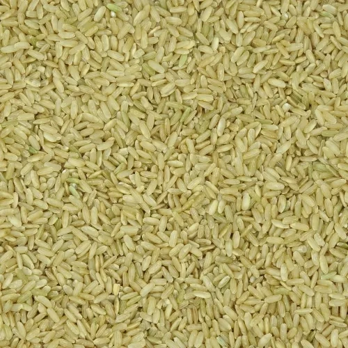 Riz long complet BIO France