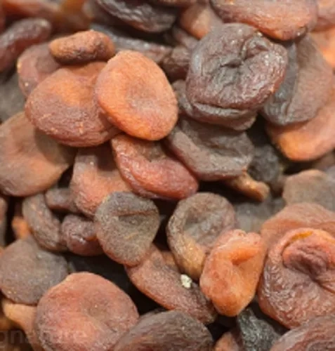 Abricots secs naturels Turquie Récolte 2026