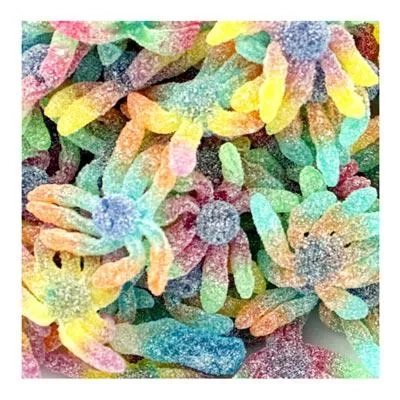 Bonbons joubini acidulés Trolli