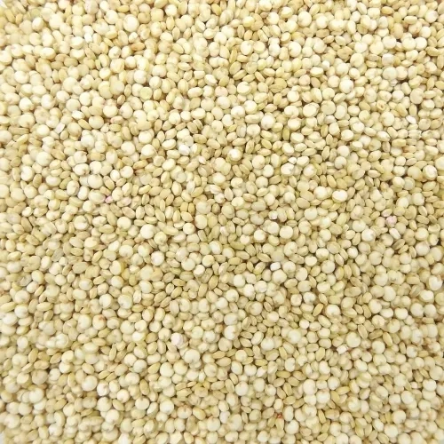 Quinoa blanc  France