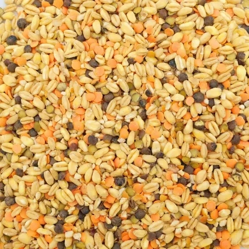 Mélange de blé, lentilles et pois chiche