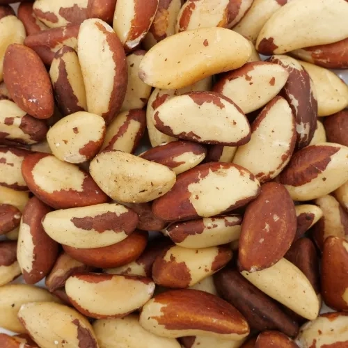 Noix du Brésil BIO décortiquée Bolivie