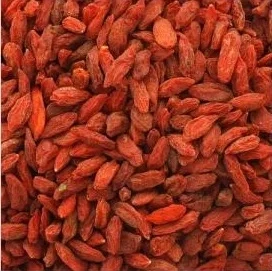 Baies de Goji BIO 380pcs/50g