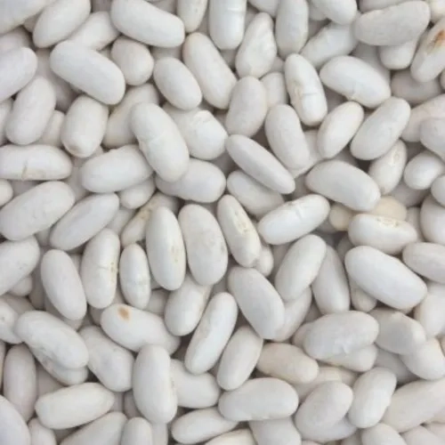 Haricots lingots blancs Argentine