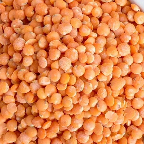 Lentilles corail BIO France