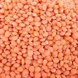 Lentilles corail Canada