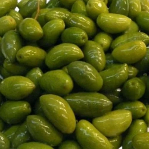 Olives vertes Lucques France