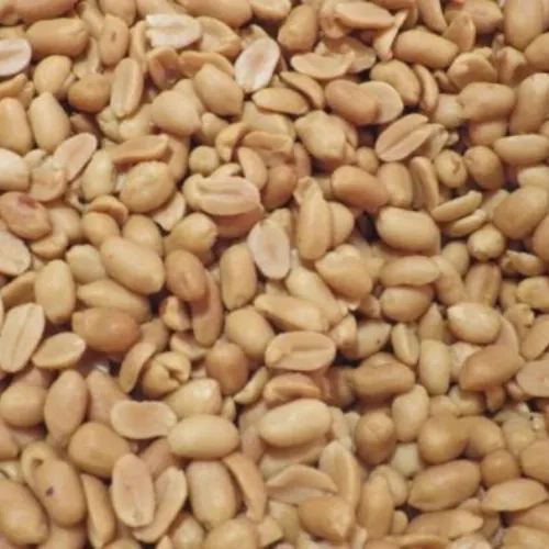 Arachides blanches grillées salées