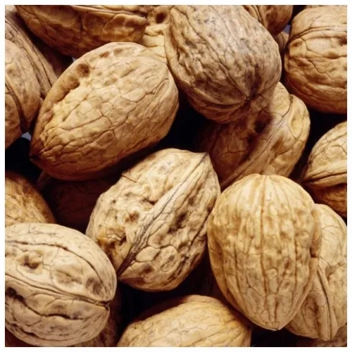 Noix coques Grenoble 30/32 BIO 500g Récolte 2025