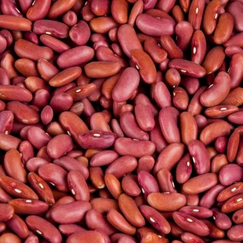 Haricots rouges