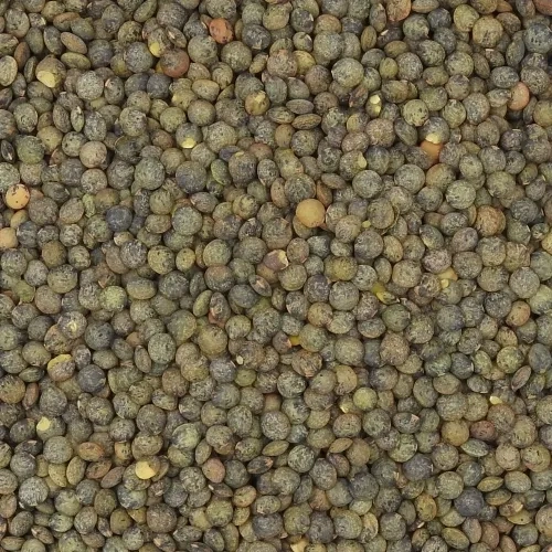 Lentilles vertes Canada 5 kg