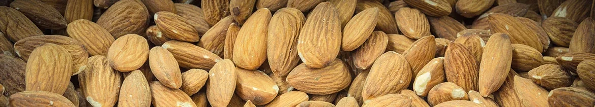 Amandes décortiquées