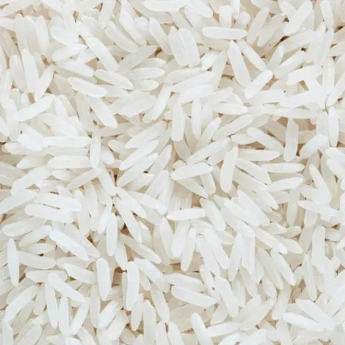 RIZ DE CAMARGUE IGP BIO LONG BLANC 5KG