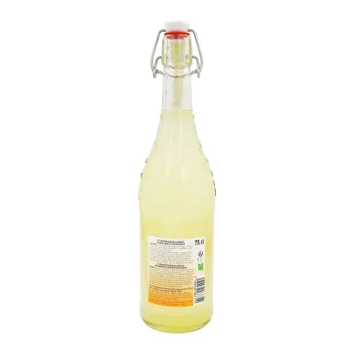 BOISSON GAZEUSE BIO GOUT ORANGE 75 CL