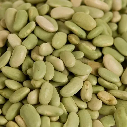 HARICOT FLAGEOLET VERT BIO FRANCE 5KG