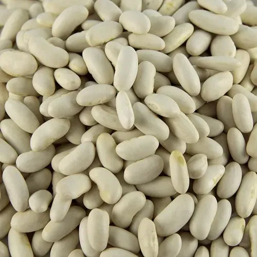MOGETTE DE VENDEE BIO 5KG