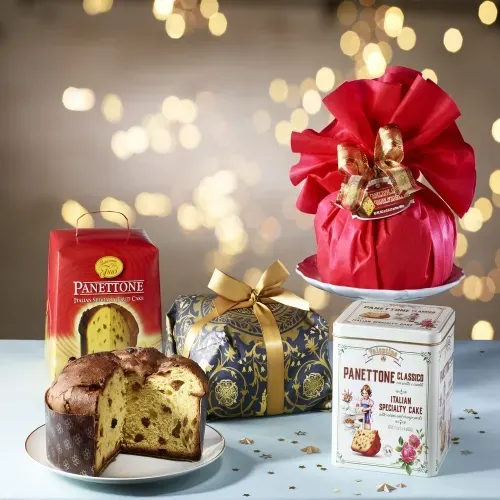 PANETTONE BOITE 900 GR
