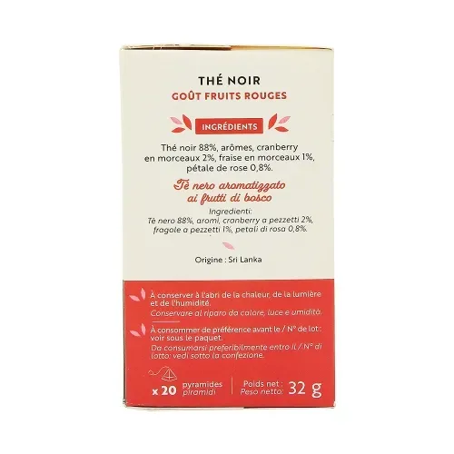 RENUTE THE NOIR FRUIT ROUGE 20 PYRAMIDES