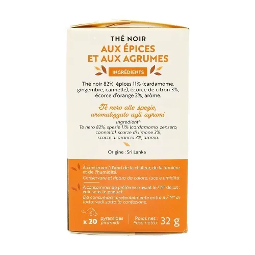 RENUTE THE NOIR AUX EPICES 20 PYRAMIDES