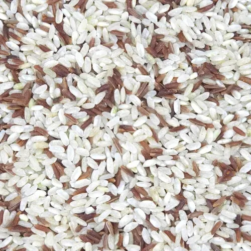 RIZ DE CAMARGUE IGP BIO DUO 5KG