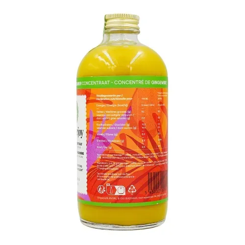 GINGERJOY BIO 480ML