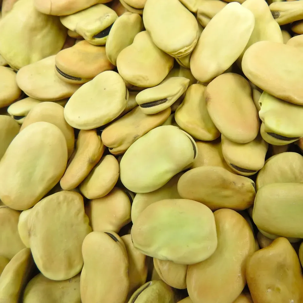 FEVE ENTIERE PEROU BOLIVIE  SAC 5 KG