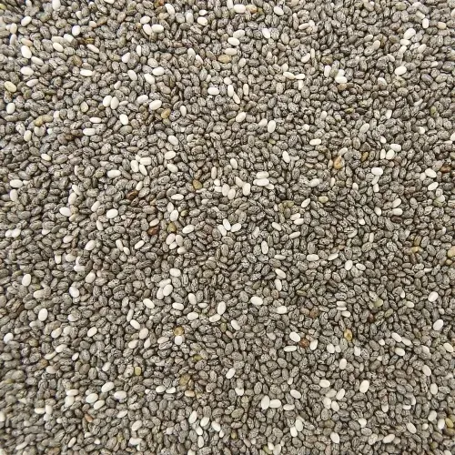GRAINES DE CHIA NOIR BIO 5KG