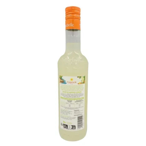 SIROP MENTHE CITRON 50CL