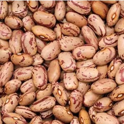 HARICOT COCO ROSE NON-UE SAC 5KG