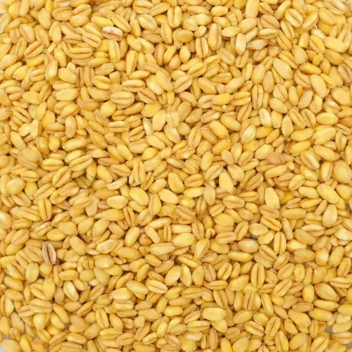 BLE DUR PRECUIT GRAIN DE FRAIS 5KG