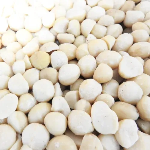 NOIX DE MACADAMIA CRUE N°2 KENYA   11.34 kg