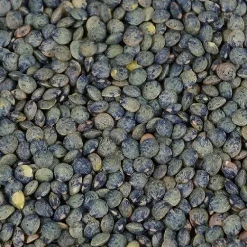 LENTILLES VERTES BIO FRANCE 5KG