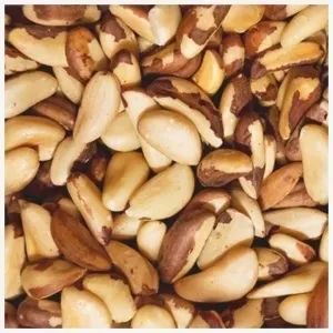 NOIX DE BRESIL MEDIUM BIO DECORTIQUEE PEROU CT20KG