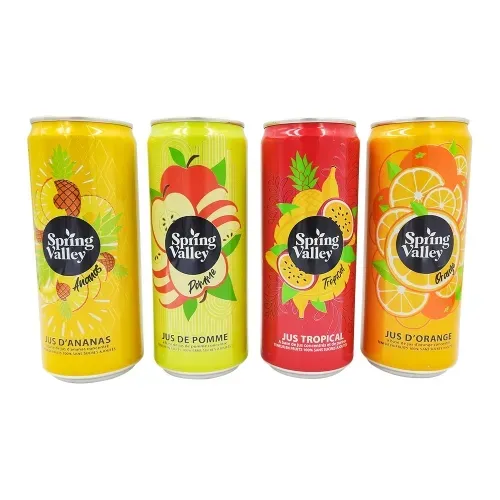 100% JUS D'ANANAS CANETTE 33CL