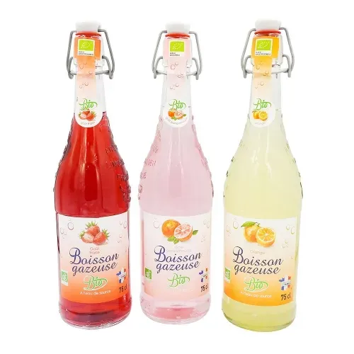 BOISSON GAZEUSE BIO GOUT ORANGE 75 CL