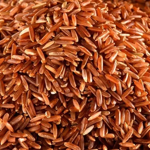 RIZ DE CAMARGUE IGP BIO ROUGE 5KG