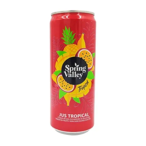 100% JUS TROPICAL CANETTE 33CL