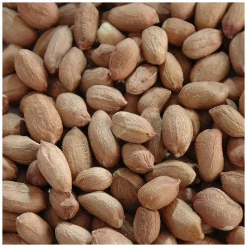 ARACHIDE DECORT BRUNE CRUE CHINE  24/28 SAC 25KG