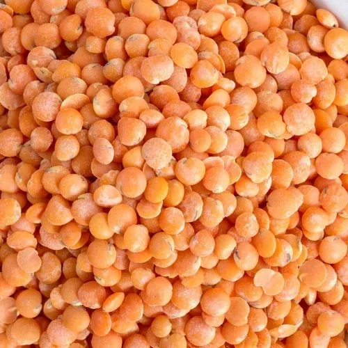 LENTILLES CORAIL BIO FRANCE 5KG