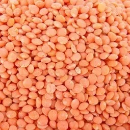 LENTILLE CORAIL CANADA SAC 5KG