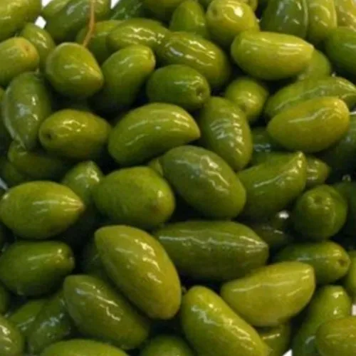 OLIVE VERTE LUCQUES SEAU FRANCE PNE 5KG