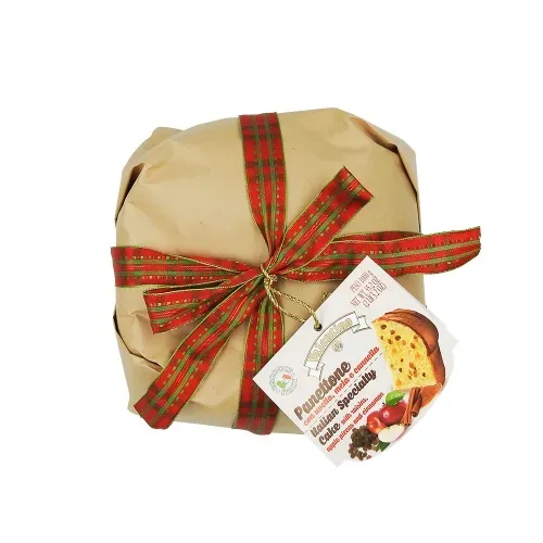 PANETTONE RASINS POMME CANNELLE 1KG