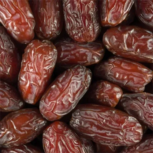 DATTE MEDJOUL ISRAEL LARGE BIO