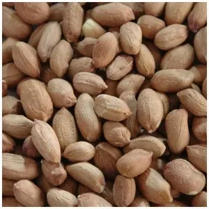 ARACHIDE BRUNE CRUE NON-UE SAC 5KG