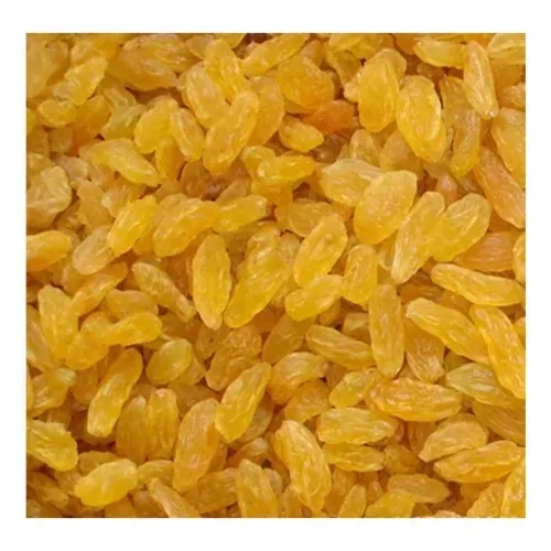 RAISIN BLOND CHILI JUMBO 10KG