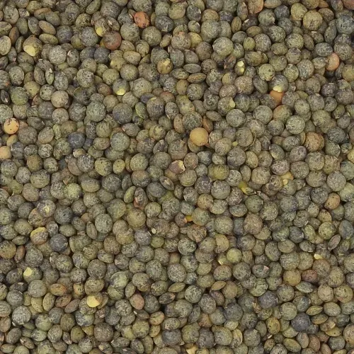 Lentilles vertes Canada Sac de 5 kg